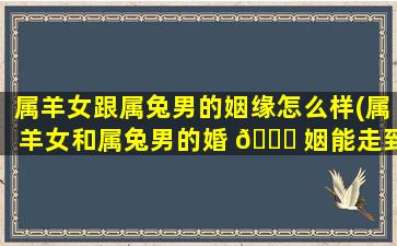 属羊女跟属兔男的姻缘怎么样(属羊女和属兔男的婚 🐕 姻能走到尽头吗)